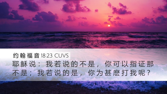 约 翰 福 音 18:23 CUVS Bible Verse Image