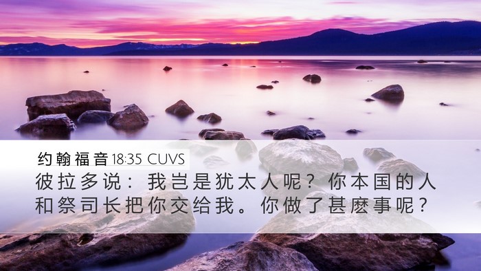 约 翰 福 音 18:35 CUVS Bible Verse Image