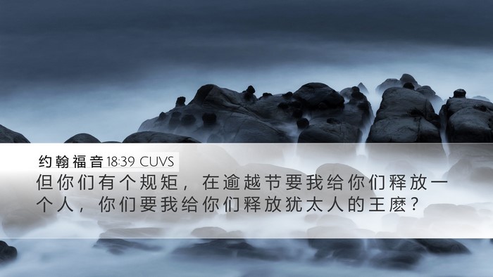 约 翰 福 音 18:39 CUVS Bible Verse Image
