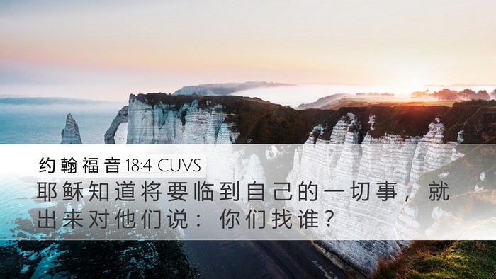 约 翰 福 音 18:4 CUVS Bible Verse Image
