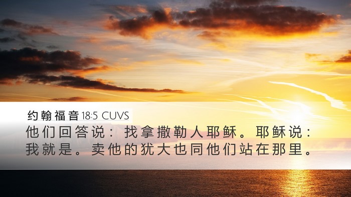 约 翰 福 音 18:5 CUVS Bible Verse Image
