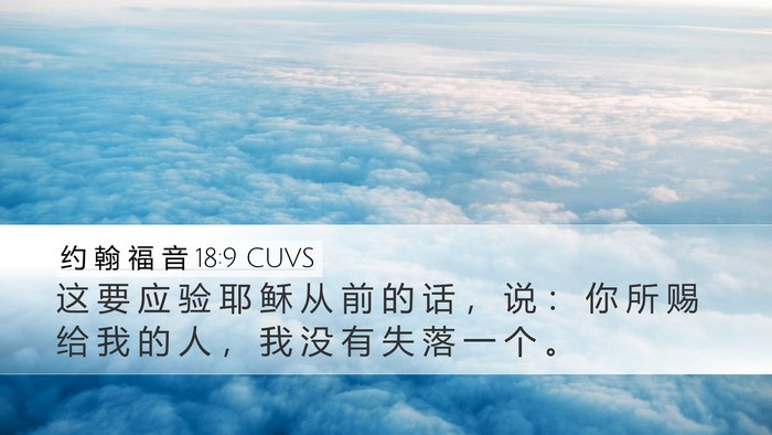 约 翰 福 音 18:9 CUVS Bible Verse Image