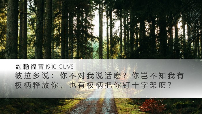 约 翰 福 音 19:10 CUVS Bible Verse Image
