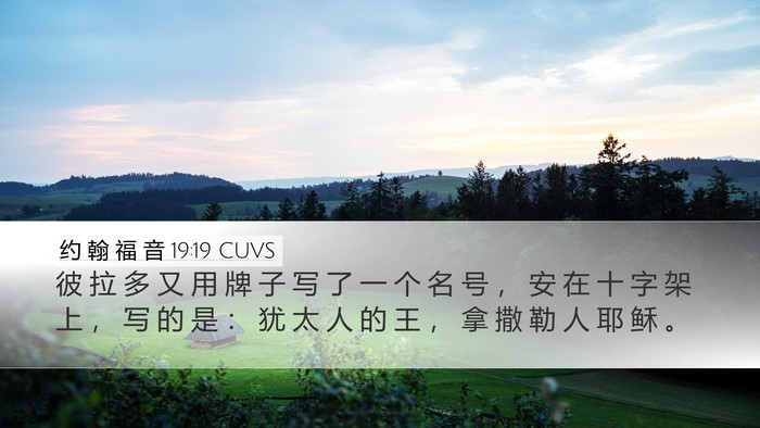 约 翰 福 音 19:19 CUVS Bible Verse Image