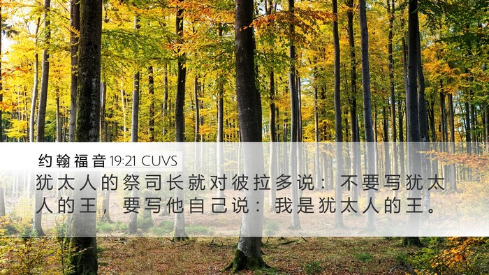 约 翰 福 音 19:21 CUVS Bible Verse Image