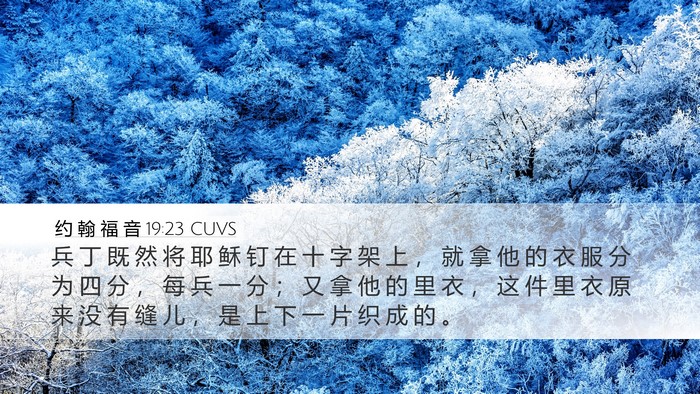 约 翰 福 音 19:23 CUVS Bible Verse Image