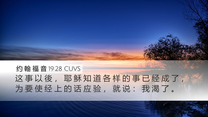 约 翰 福 音 19:28 CUVS Bible Verse Image