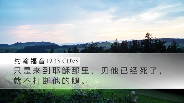 约 翰 福 音 19:33 CUVS Bible Verse Image