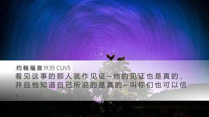 约 翰 福 音 19:35 CUVS Bible Verse Image