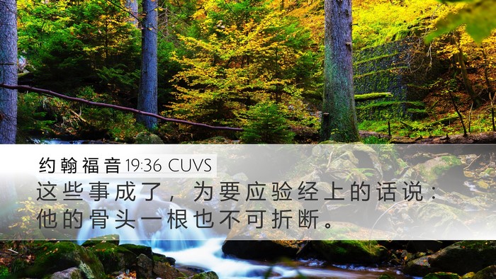 约 翰 福 音 19:36 CUVS Bible Verse Image