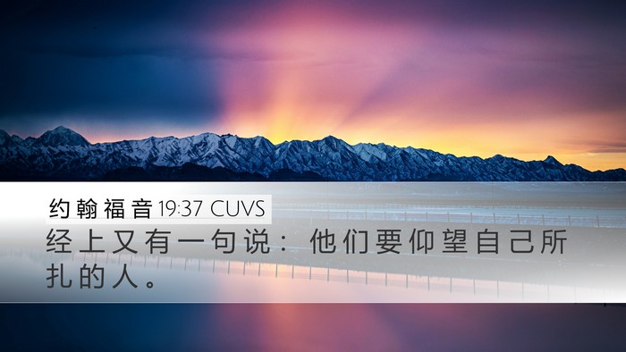约 翰 福 音 19:37 CUVS Bible Verse Image