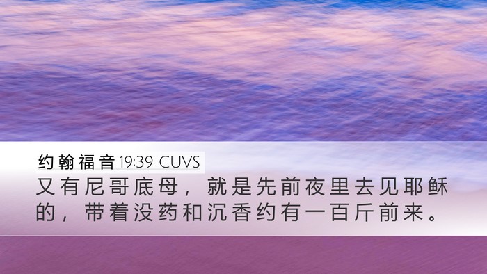 约 翰 福 音 19:39 CUVS Bible Verse Image