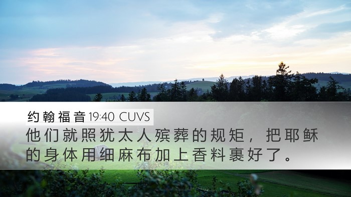 约 翰 福 音 19:40 CUVS Bible Verse Image