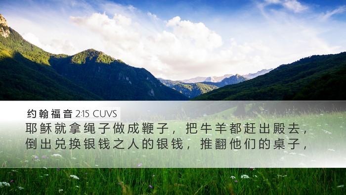 约 翰 福 音 2:15 CUVS Desktop Wallpaper - 耶 稣 就 拿 绳 子 做 成 鞭 子 ， 把 - Desktop Bible Verse Wallpaper