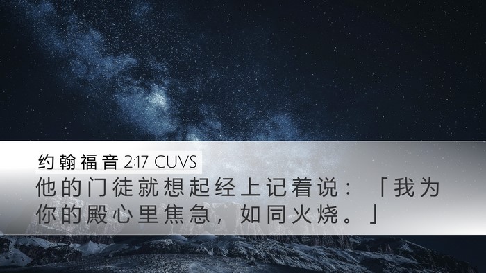 约 翰 福 音 2:17 CUVS Bible Verse Image
