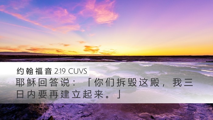 约 翰 福 音 2:19 CUVS Bible Verse Image