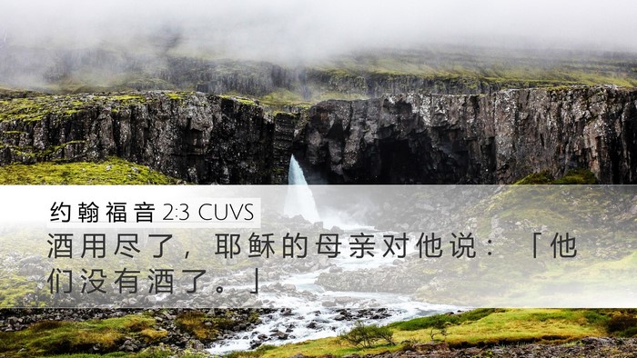 约 翰 福 音 2:3 CUVS Bible Verse Image