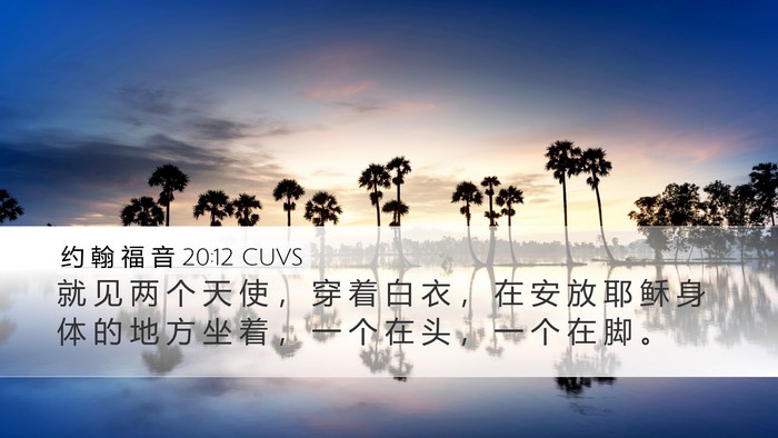 约 翰 福 音 20:12 CUVS Bible Verse Image