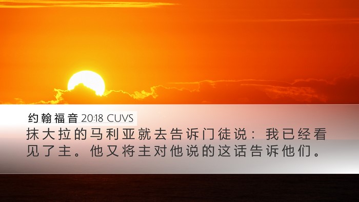 约 翰 福 音 20:18 CUVS Bible Verse Image