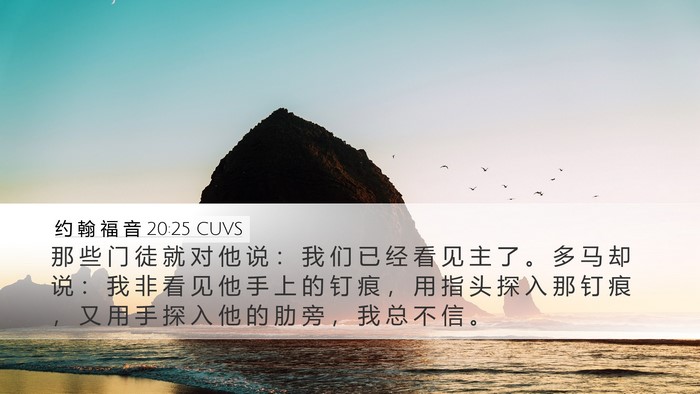 约 翰 福 音 20:25 CUVS Bible Verse Image