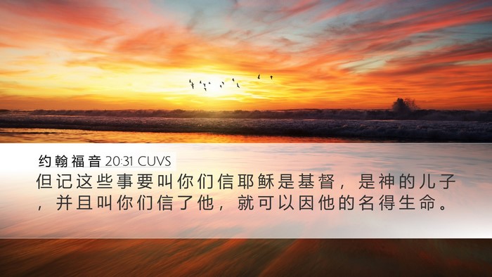 约 翰 福 音 20:31 CUVS Bible Verse Image
