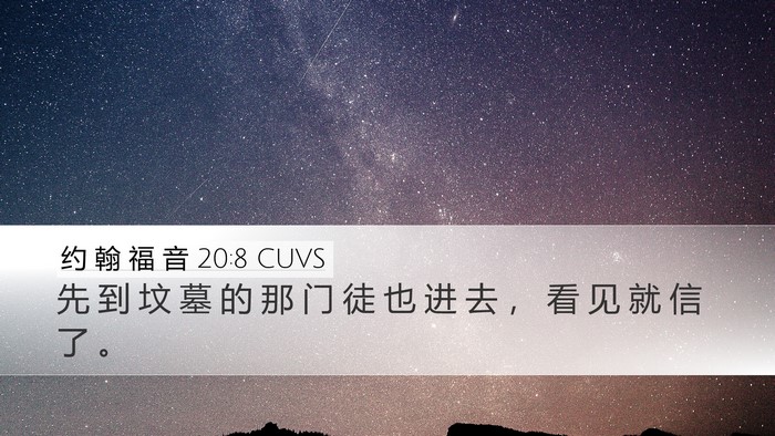 约 翰 福 音 20:8 CUVS Bible Verse Image