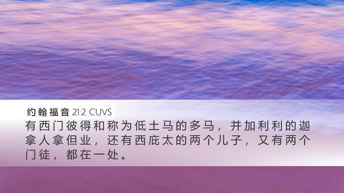 约 翰 福 音 21:2 CUVS Bible Verse Image