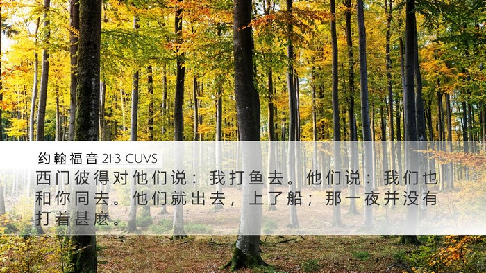 约 翰 福 音 21:3 CUVS Bible Verse Image