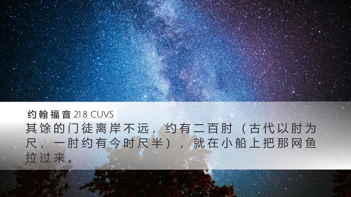 约 翰 福 音 21:8 CUVS Bible Verse Image