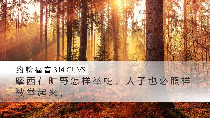约 翰 福 音 3:14 CUVS Bible Verse Image