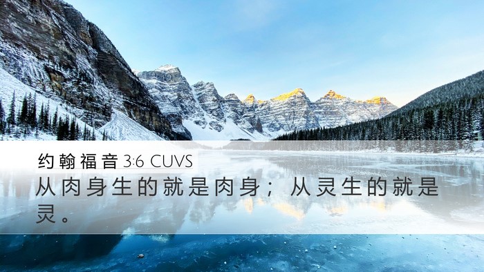 约 翰 福 音 3:6 CUVS Bible Verse Image