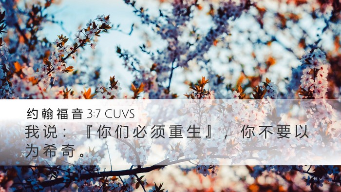 约 翰 福 音 3:7 CUVS Desktop Wallpaper - 我 说 ： 『 你 们 必 须 重 生 』 ， - Desktop Bible Verse Wallpaper