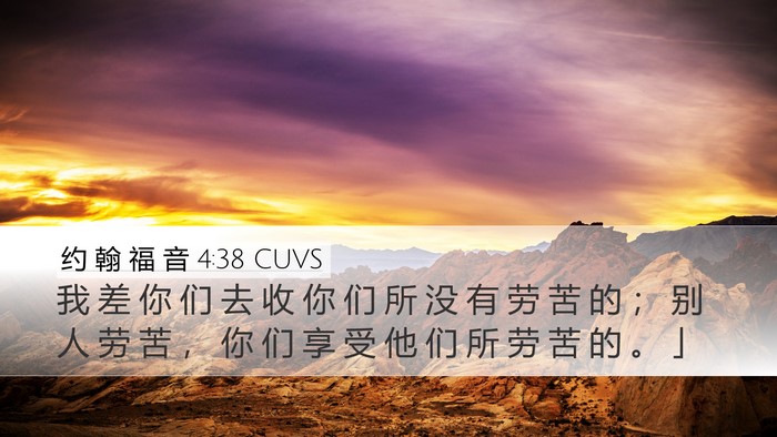 约 翰 福 音 4:38 CUVS Desktop Wallpaper - 我 差 你 们 去 收 你 们 所 没 有 劳 - Desktop Bible Verse Wallpaper
