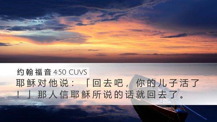 约 翰 福 音 4:50 CUVS Bible Verse Image