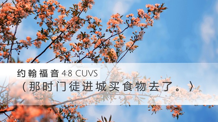 约 翰 福 音 4:8 CUVS Bible Verse Image