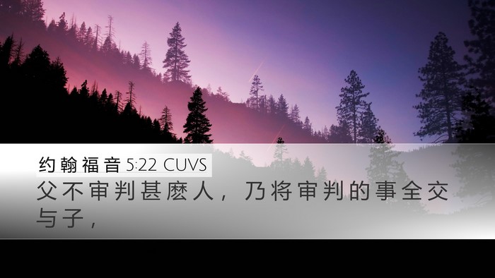 约 翰 福 音 5:22 CUVS Bible Verse Image