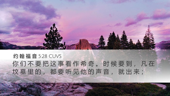 约 翰 福 音 5:28 CUVS Bible Verse Image