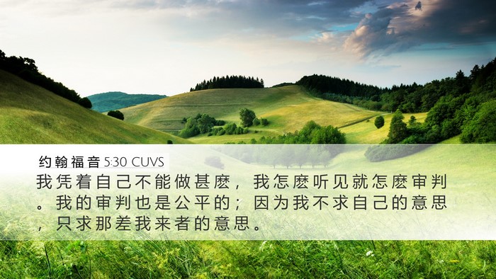 约 翰 福 音 5:30 CUVS Bible Verse Image
