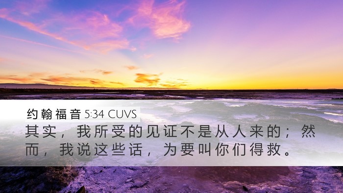 约 翰 福 音 5:34 CUVS Bible Verse Image