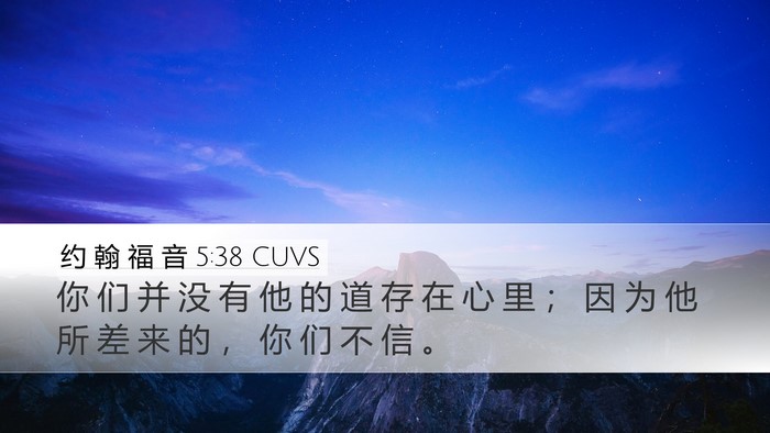 约 翰 福 音 5:38 CUVS Desktop Wallpaper - 你 们 并 没 有 他 的 道 存 在 心 里 - Desktop Bible Verse Wallpaper