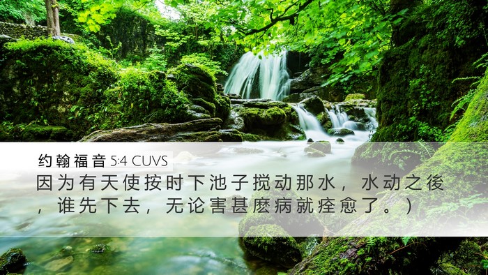 约 翰 福 音 5:4 CUVS Desktop Wallpaper - 因 为 有 天 使 按 时 下 池 子 搅 动 - Desktop Bible Verse Wallpaper