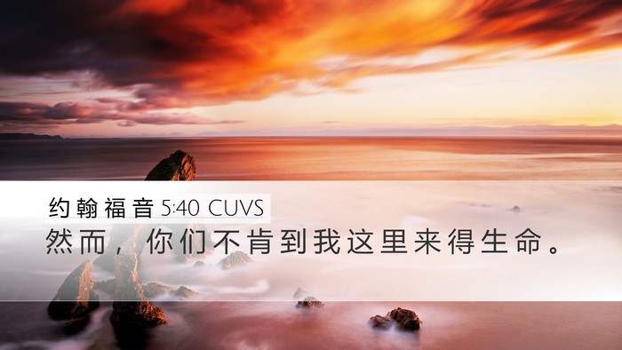 约 翰 福 音 5:40 CUVS Bible Verse Image