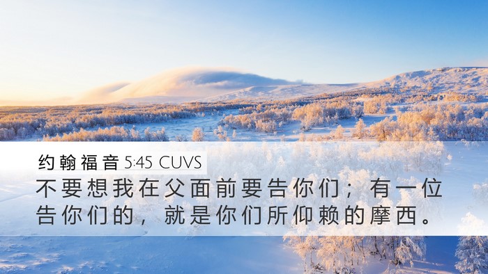 约 翰 福 音 5:45 CUVS Bible Verse Image