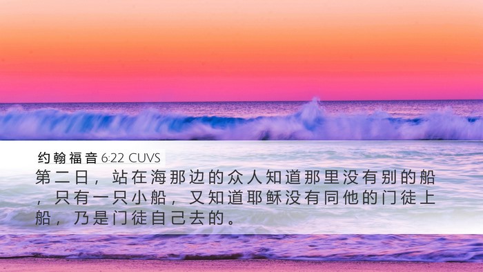 约 翰 福 音 6:22 CUVS Bible Verse Image