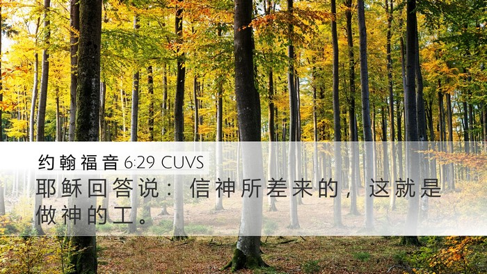 约 翰 福 音 6:29 CUVS Bible Verse Image
