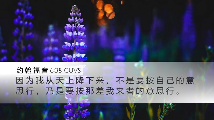 约 翰 福 音 6:38 CUVS Bible Verse Image