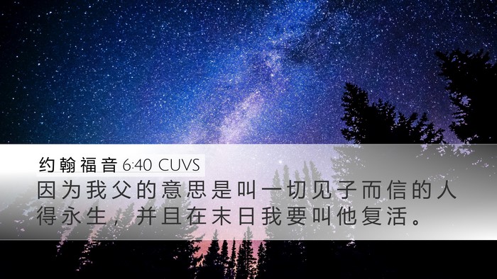 约 翰 福 音 6:40 CUVS Bible Verse Image