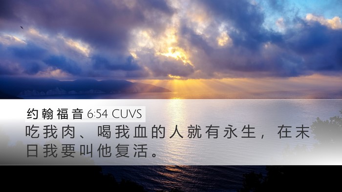 约 翰 福 音 6:54 CUVS Bible Verse Image