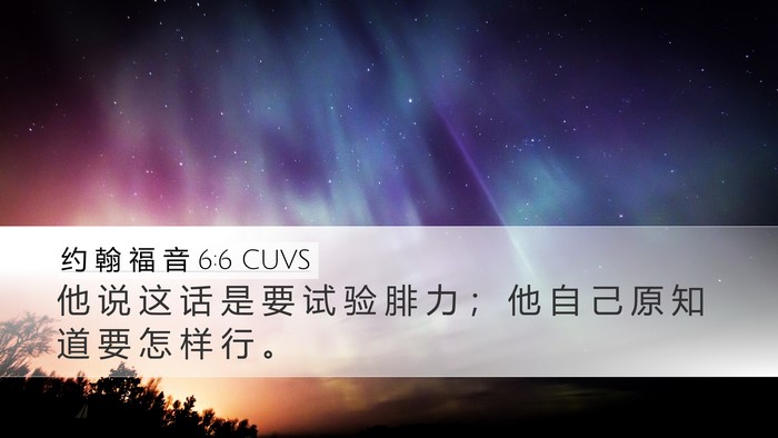 约 翰 福 音 6:6 CUVS Bible Verse Image