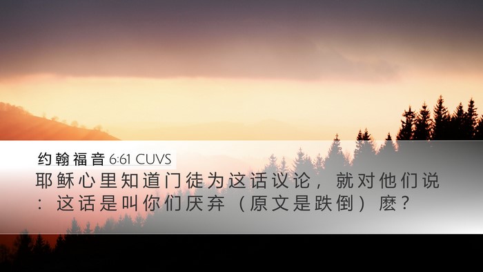 约 翰 福 音 6:61 CUVS Bible Verse Image